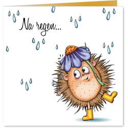 Aanbieding voor Sterkte kaarten egel in de regen