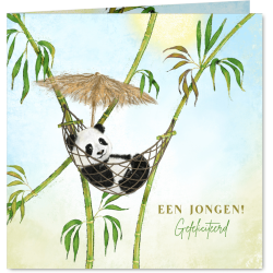 Aanbieding voor Felicitatiekaart geboorte met pandabeer