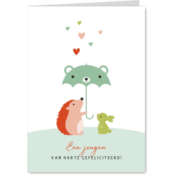 Aanbieding voor Felicitatie met egel, konijn en paraplu