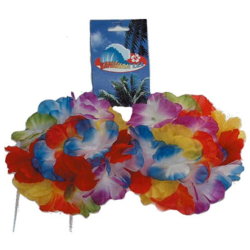 Aanbieding voor Bikini Hawaii