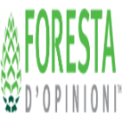 PineCone Research (IT) 18-24 yo logo