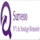 Surveoo (Barbados) - SOI logo