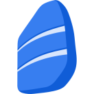 Rosetta Stone (INT) logo