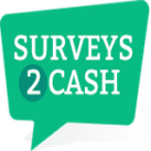 Surveys2Cash (US) - DOI logo