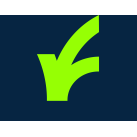 FlexiRoam (INT) - USD logo