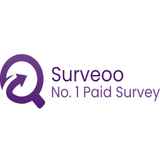 Surveoo (US) - SOI