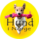 Hund i Norge (NO)