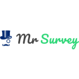 Mr. Survey (IT)