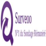 Surveoo (China) - SOI