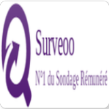 Surveoo (Barbados) - SOI