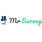 Mr. Survey (US)